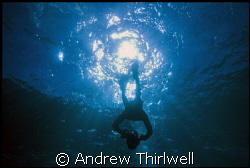 Freediving off Sydney in natural light by Andrew Thirlwell 